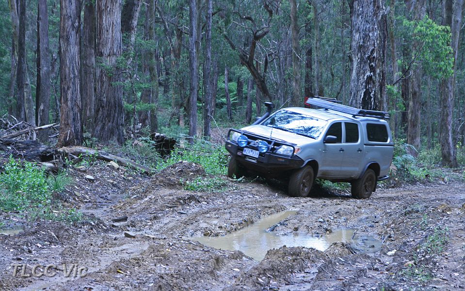 07-Marvin negotiates a bog on Dom Dom Creek Trk.JPG